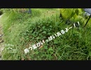 【第189回】牧野植物園④と操作と参加者？
