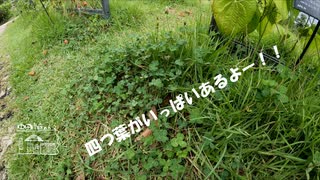 【第189回】牧野植物園④と操作と参加者？