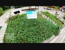 【増刊号】#64 牧野植物園行ったよー！！②