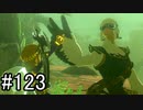 【実況】空の島から始まる新たな冒険【ゼルダの伝説 ティアーズ オブ ザ キングダム】part123