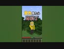 【マイクラ】黄色見たら強制終了！？