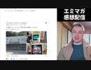 【エミマガ感想 203回】タマタマをうまそうに舐める猫
