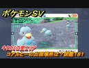 ポケモンＳＶ　コアルヒーの出現場所は？図鑑１８１　キタカミの里エリア　＃５０８　【DLCゼロの秘宝　碧の仮面・藍の円盤】
