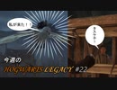 【ホグワーツレガシー】今週のHOWGWARTS LEGACY #22