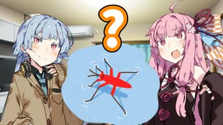 アメンボ赤いか？あいうえお【VOICEROID劇場】