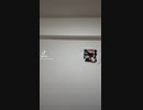 激励仮面の三秒で激励する動画 1369本目【三激動画】