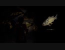 [SEPARATE WAYS]第5回(5-2) グレゴリオ水路を突破する