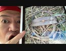20231001_[Vol.0721］プロポーズ大作戦【これを仕掛けた犯人は間違いなくサイコパス】ならば、必ず〇〇しているはずだ！