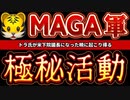 20231005_MAGA軍が㊙️糸吉ネ土として存在する可能性について