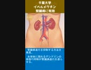 千葉大学イベルメクチン 腎臓病に有効