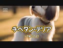 チベタン・テリアって知ってる？