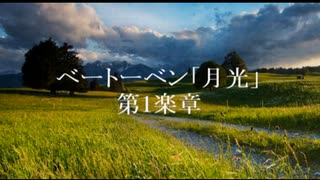 【秋の夜長に】「月光」(第1楽章)【ベートーヴェン】