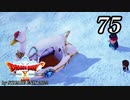 ドラゴンクエストＸオフライン～目覚めし五つの種族【初見プレイ】Scene75
