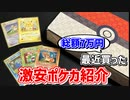 【ほぼ旧裏】ポケカオタクが秋葉原を徘徊し続けた結果【コレクション】