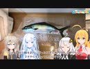 かすマキ日誌！Page2_タイラバ@観音崎【日帰り旅行祭2023】