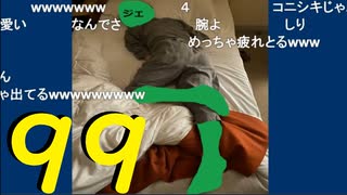 【会員生放送】タンクトップ通信 第９８号 ディズニー監査（後編）