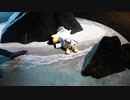 上越水族館