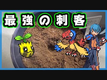 【実況】ヒマナッツがひん死になったら現実で向日葵を育てる縛り（BW版・Part⑬）