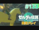 【実況】大空を翔る。ゼルダの伝説ティアーズオブザキングダム 実況プレイ！Part133【ゼルダの伝説TotK】