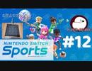 マジで一歩も動かない【Nitendo Switch Sports：ゲーム実況】12日目