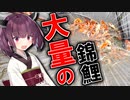 塩田養鯉場の沼上げに付いていったら凄かった！！