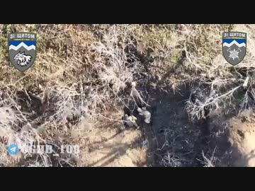 ホモと見る多分ウクライナ軍の中で１番容赦ない第108独立山岳強襲大隊