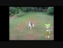 取れない玉