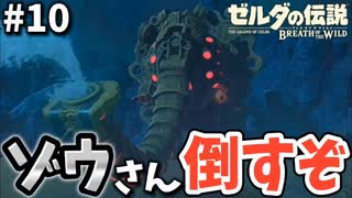 デカい！強い！水の神獣ヴァ・ルッタ！【ゼルダの伝説ブレス オブ ザ ワイルド】#10