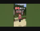 【マイクラ】赤色見つけたら即終了！