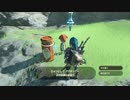 ゼルダの伝説　ブレス オブ ザ ワイルド　実況プレイPart61