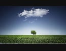 嘘 Lie 【フリーBGM】