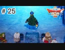 【実況】勇者姫と世界を救う【ドラクエXオフラインversion2】＃25