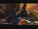 apexチャンピオン