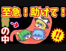【ゆっくり茶番】幽々子に食べられてしまった魔理沙達の運命は…！？そして、チルノがアイスに…！？【２話】