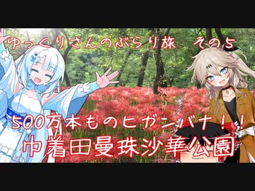 ゆっくりさんとつむぎちゃんと雪ちゃんのぶらり旅　その5　巾着田曼珠沙華公園