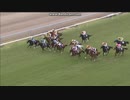 2012 秋華賞　ジェンティルドンナ