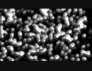 Lump of Mercury Particle