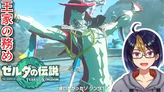 【ゼルダの伝説TotK Part44】再会のシド　※ネタバレあり　【#ゼルダの伝説/#ゼルダの伝説ティアーズオブザキングダム/#ゲーム実況/#初見実況/#VTuber】