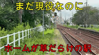 (駅探訪#17)中川辺駅を探索してきました