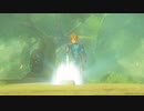 【実況】ハイラルソードTK　その49