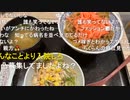 ニンポー（千代豊和） ごめん限界