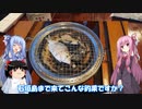 琴葉姉妹と行く釣行記録（海釣り編part34 3/6）