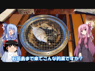 琴葉姉妹と行く釣行記録（海釣り編part34 3/6）