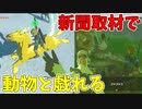 結局この鳥俺に取材させてなんもやんねえな【ゼルダの伝説 ティアーズ オブ ザ キングダム】#137
