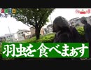 羽虫