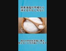 将来海塩が市場から消えるかもしれない