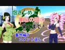 【ついなちゃん車載】抱きしめて！高志の国の果てまで！ 番外編7・コメント返し【CB250R】