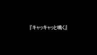 お題185『キャッキャッと鳴く』