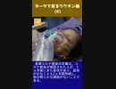 データで見るワクチン禍 (6)