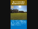 鷲につつかれた者は、鷲を放すものである！